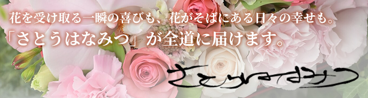 さとうはなみつ