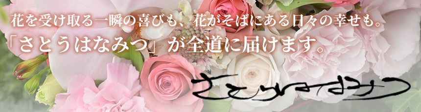さとうはなみつ