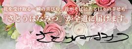 さとうはなみつ