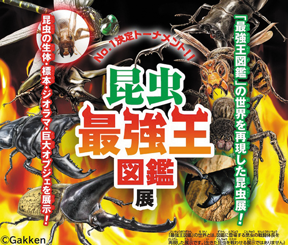 No.1決定トーナメント!! 昆虫最強王図鑑展