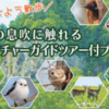 ガイドと巡る層雲峡の森 おはよう散歩