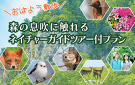 ガイドと巡る層雲峡の森 おはよう散歩